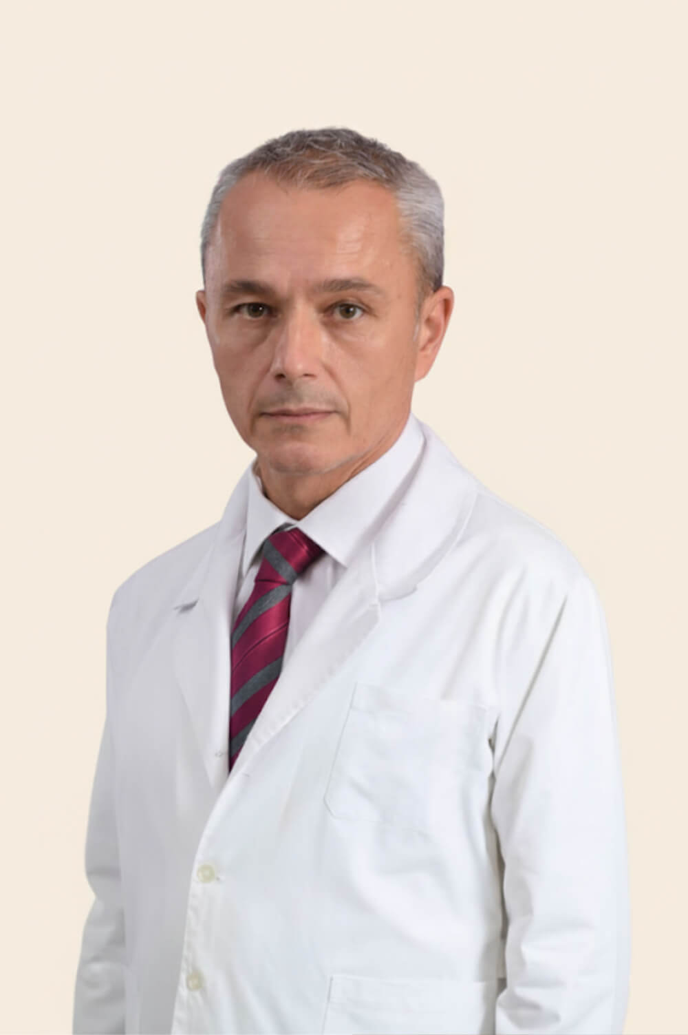 predrag-mitrovic